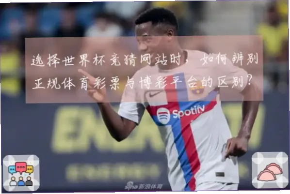 世界杯体彩和普通彩票有什么不同?