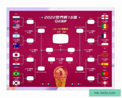 世界杯下注如何用数据分析提升胜率?